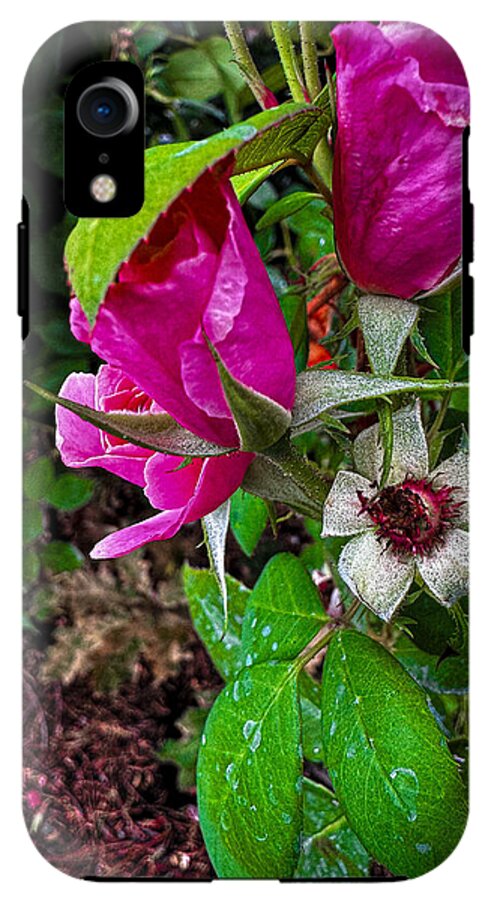 After the rain - Phone Case