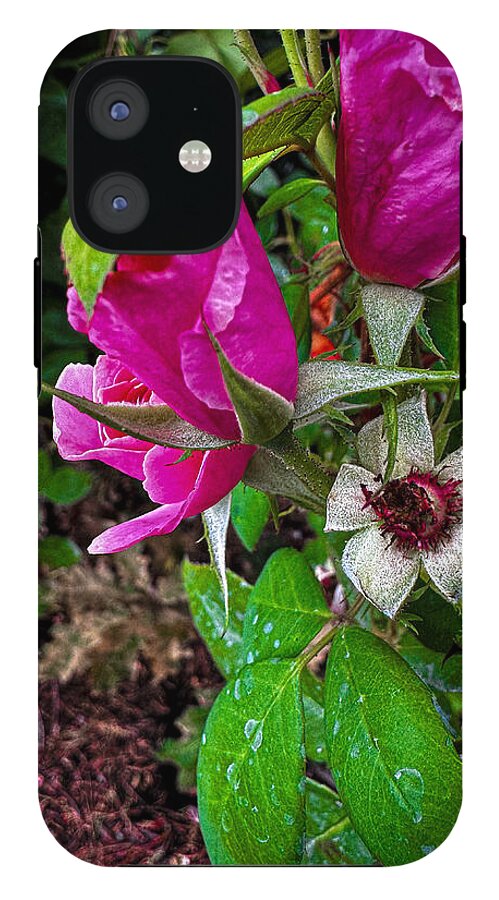 After the rain - Phone Case