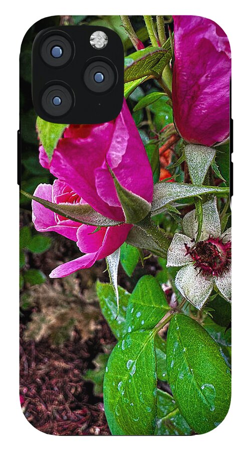After the rain - Phone Case