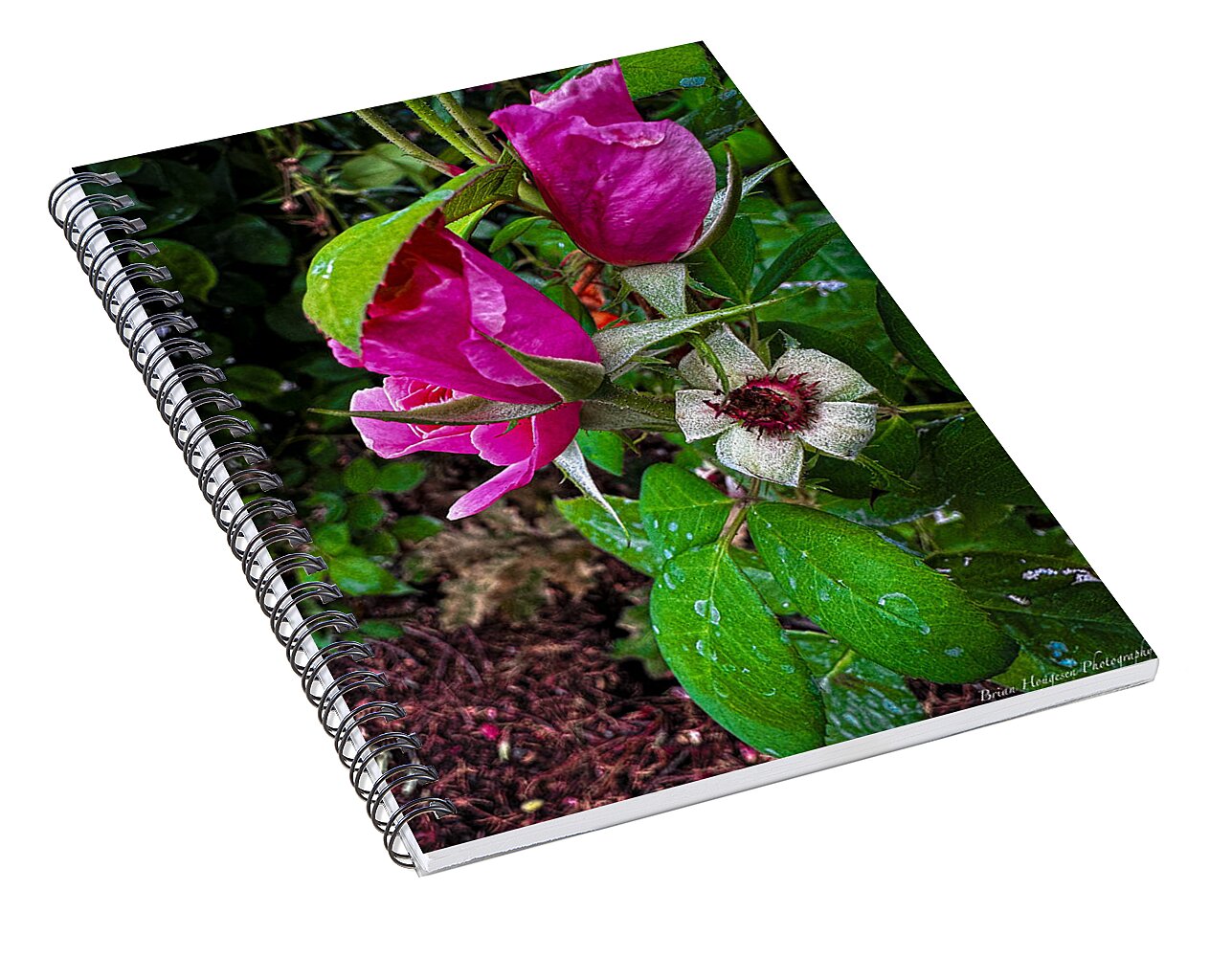 After the rain - Spiral Notebook