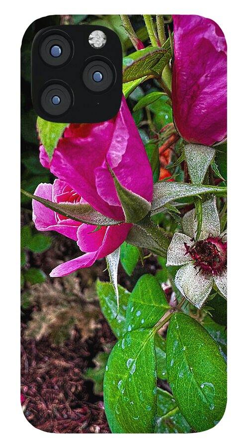 After the rain - Phone Case