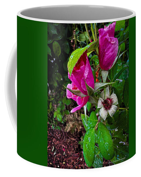 After the rain - Mug