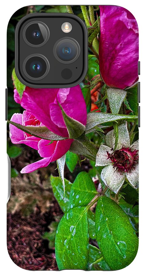 After the rain - Phone Case