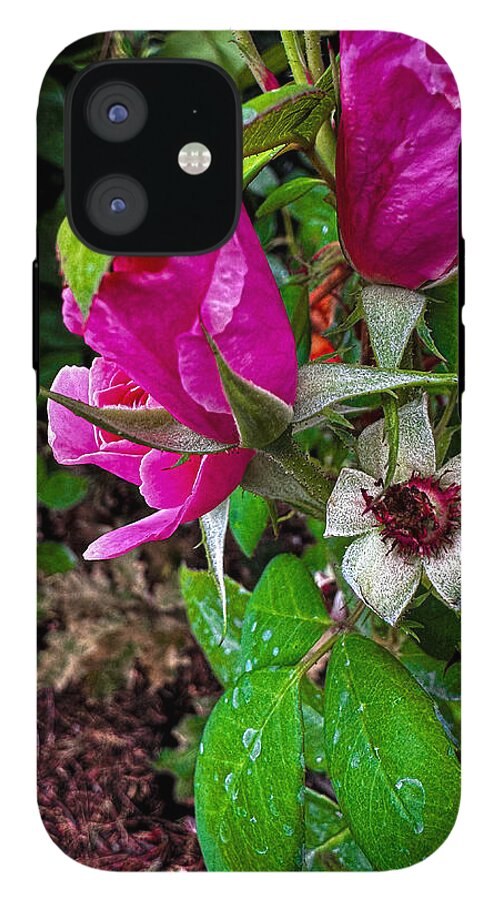 After the rain - Phone Case