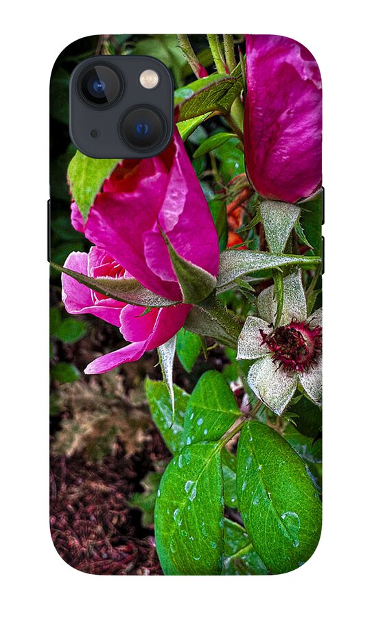 After the rain - Phone Case