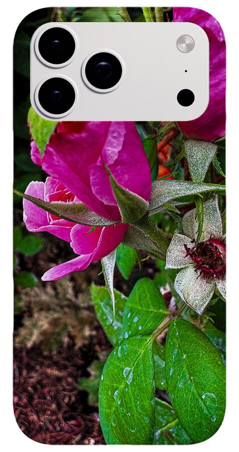 After the rain - Phone Case