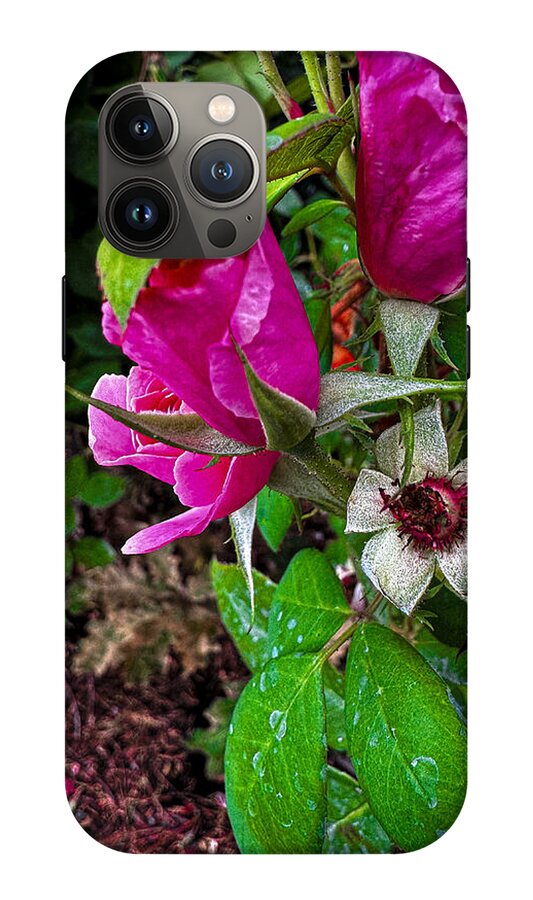 After the rain - Phone Case