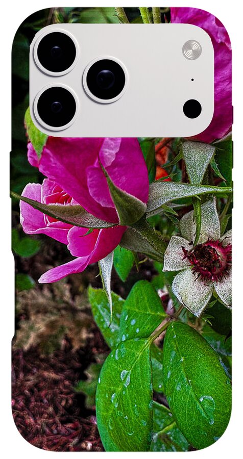 After the rain - Phone Case