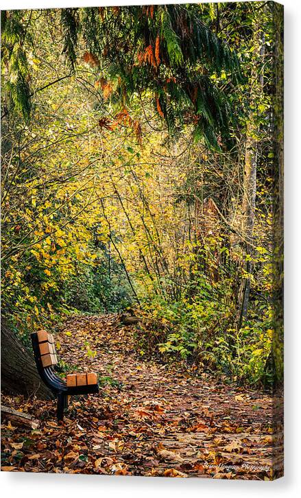 Autim  walk - Canvas Print