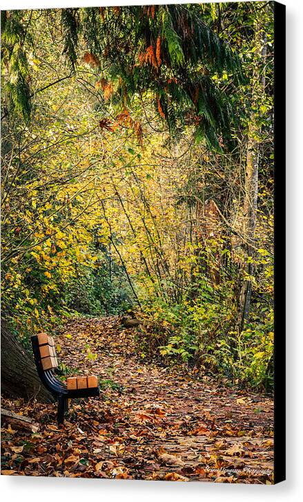 Autim  walk - Canvas Print