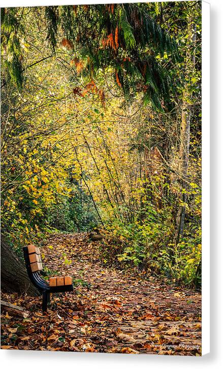 Autim  walk - Canvas Print