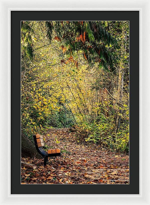 Autim  walk - Framed Print