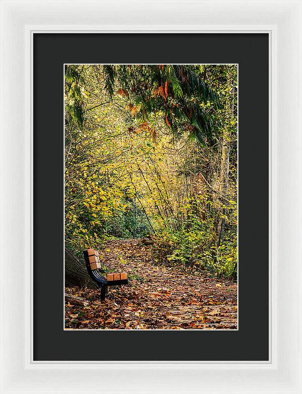 Autim  walk - Framed Print