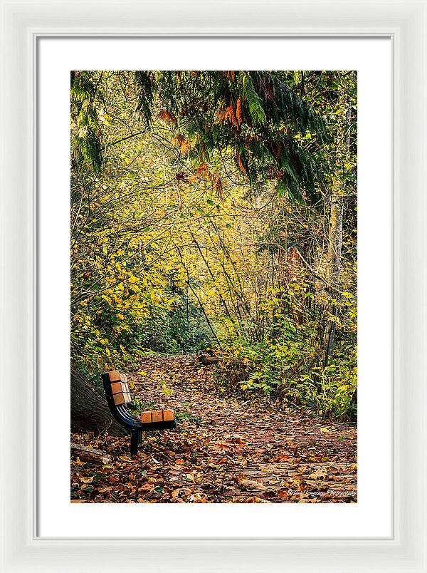 Autim  walk - Framed Print