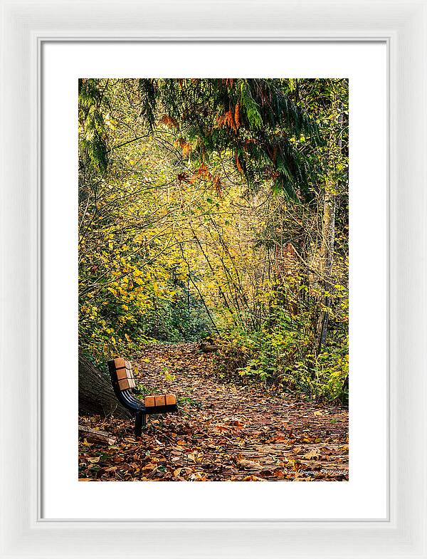 Autim  walk - Framed Print