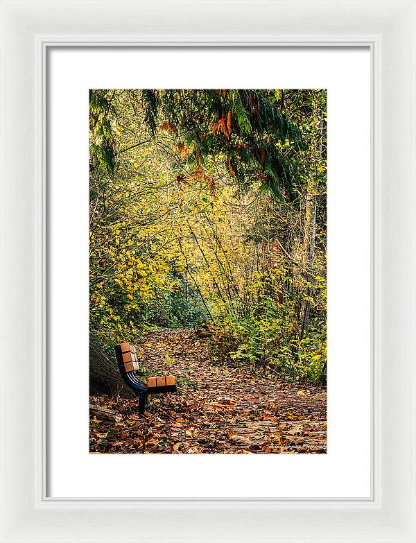 Autim  walk - Framed Print