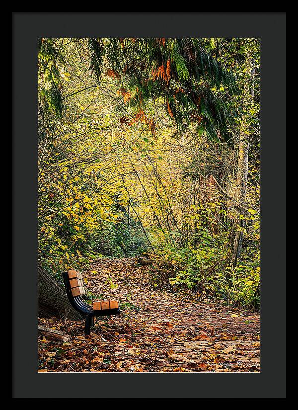 Autim  walk - Framed Print