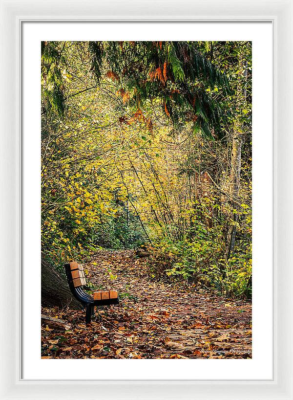 Autim  walk - Framed Print