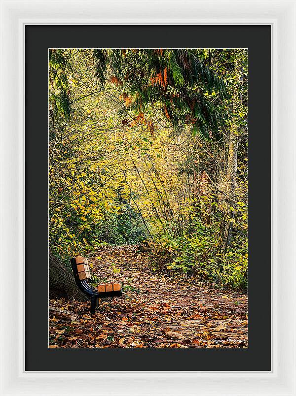 Autim  walk - Framed Print