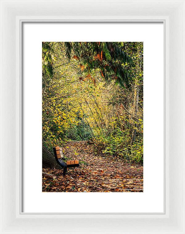 Autim  walk - Framed Print