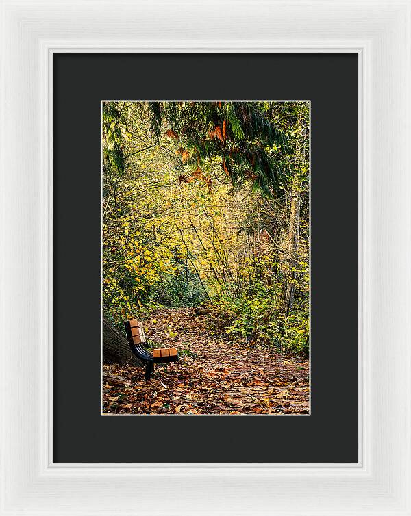 Autim  walk - Framed Print