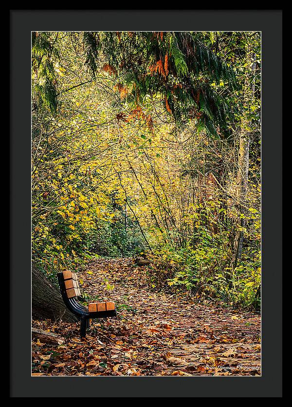 Autim  walk - Framed Print