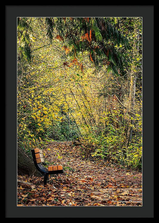 Autim  walk - Framed Print