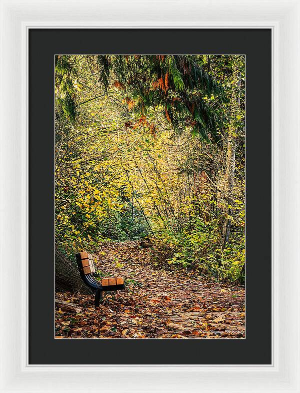 Autim  walk - Framed Print
