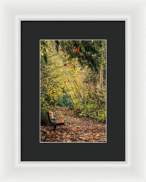 Autim  walk - Framed Print