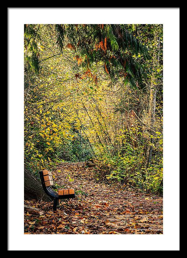 Autim  walk - Framed Print