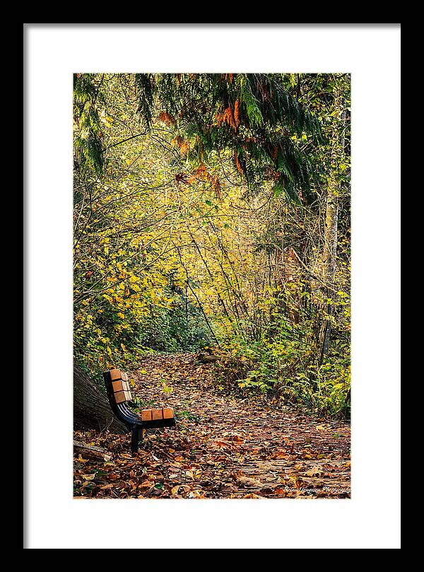 Autim  walk - Framed Print
