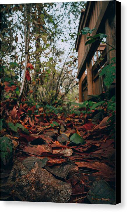 Autum leaves - Canvas Print