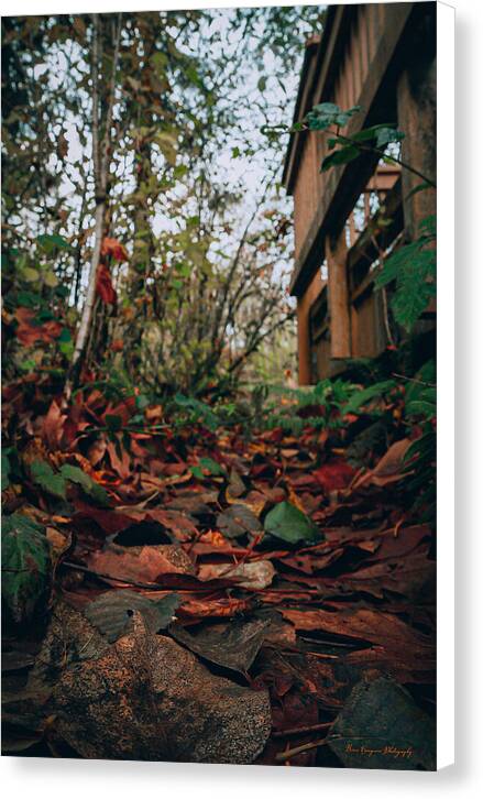Autum leaves - Canvas Print