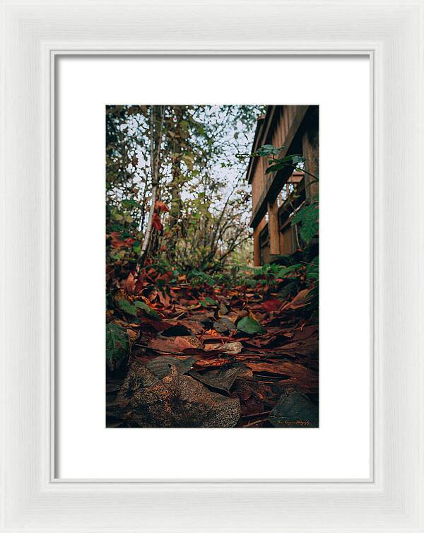 Autum leaves - Framed Print