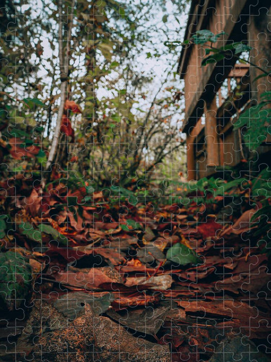 Autum leaves - Puzzle