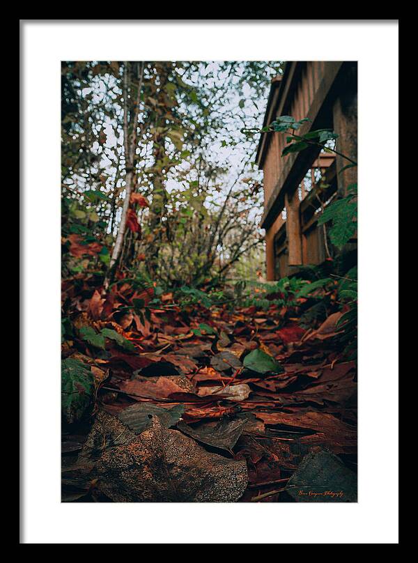 Autum leaves - Framed Print