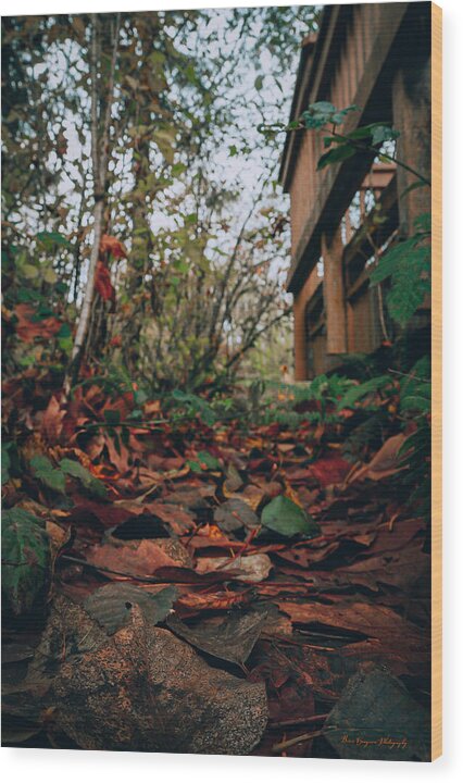 Autum leaves - Wood Print