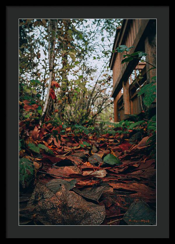 Autum leaves - Framed Print