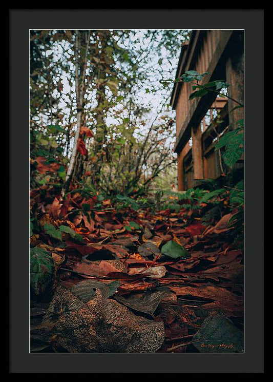 Autum leaves - Framed Print