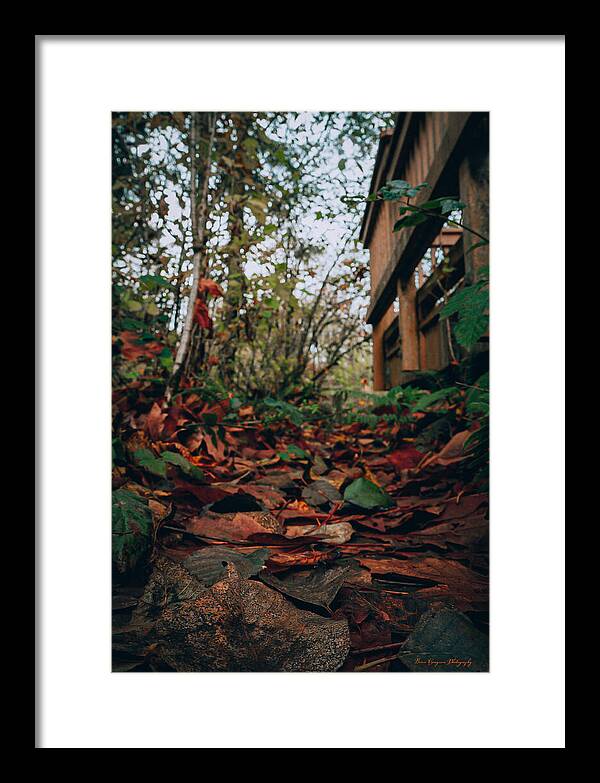 Autum leaves - Framed Print