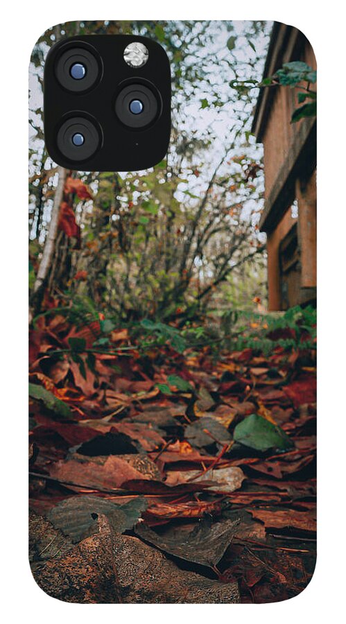 Autum leaves - Phone Case