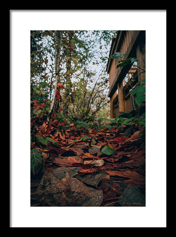 Autum leaves - Framed Print