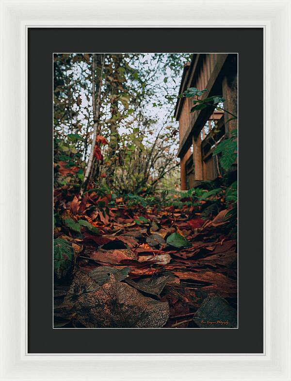 Autum leaves - Framed Print
