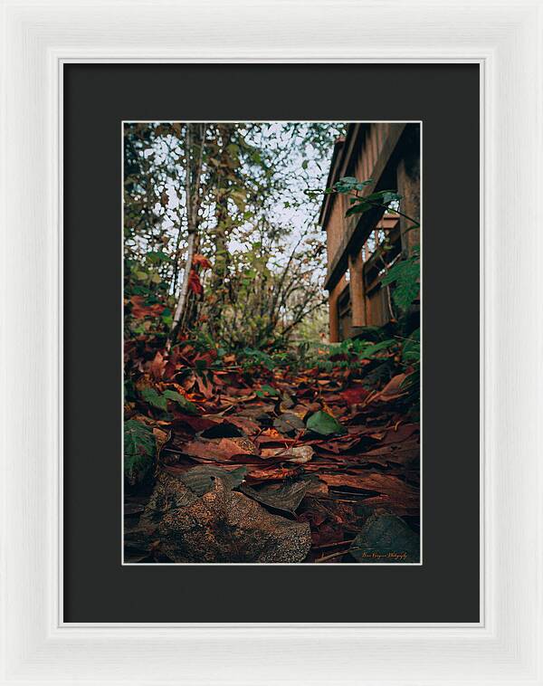 Autum leaves - Framed Print