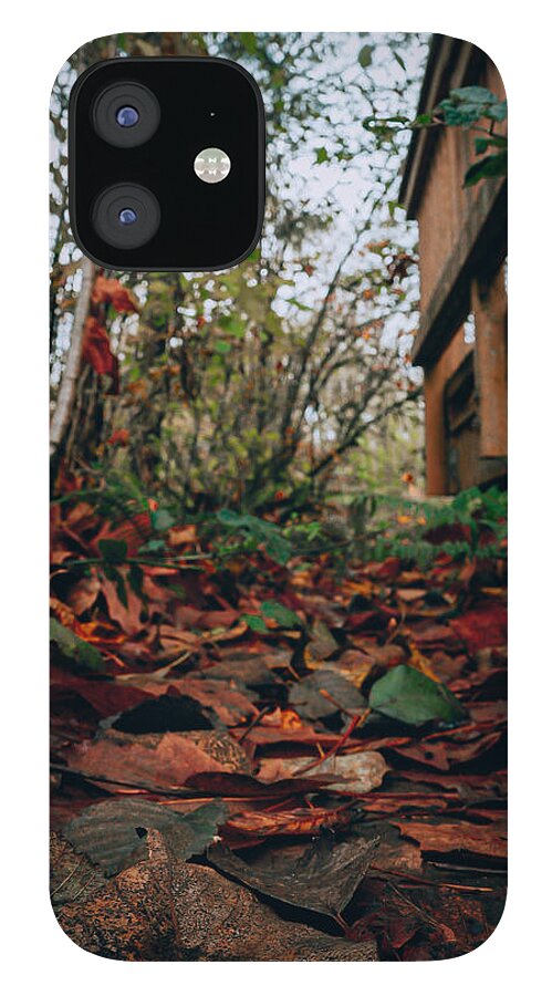 Autum leaves - Phone Case