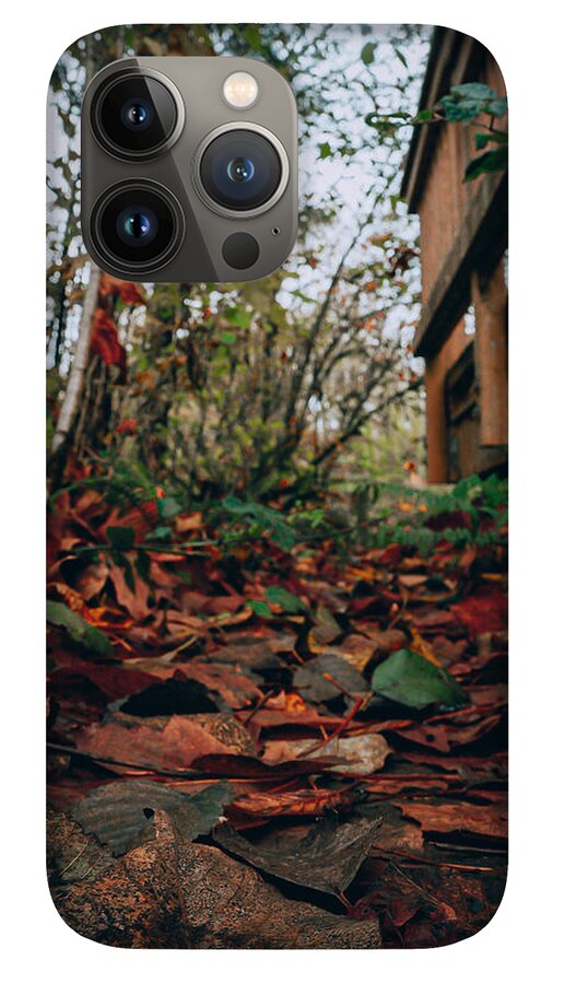 Autum leaves - Phone Case