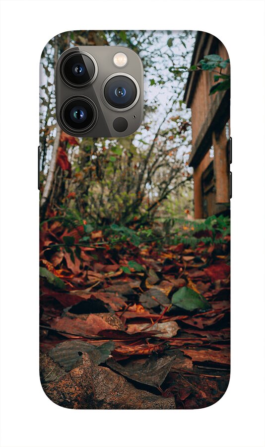 Autum leaves - Phone Case