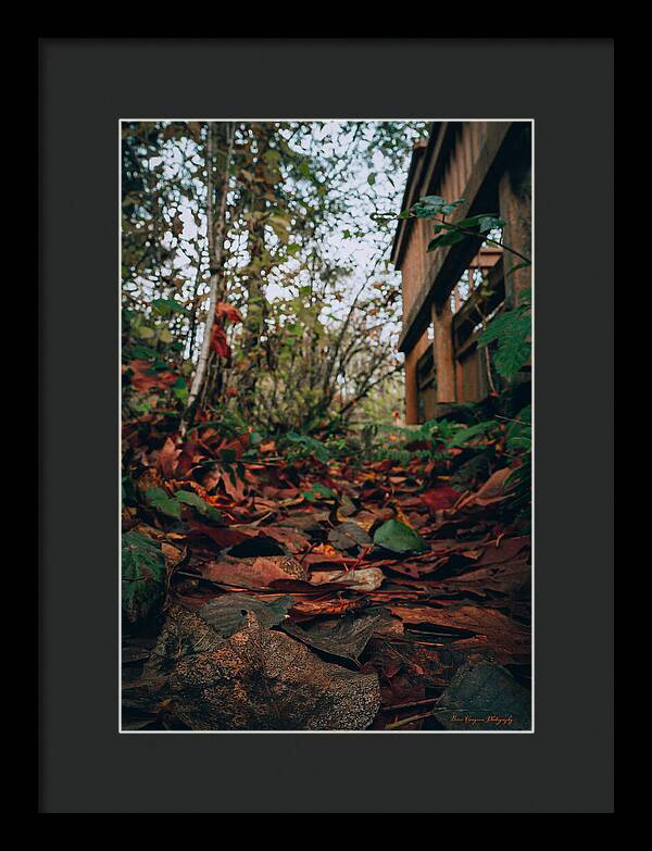 Autum leaves - Framed Print