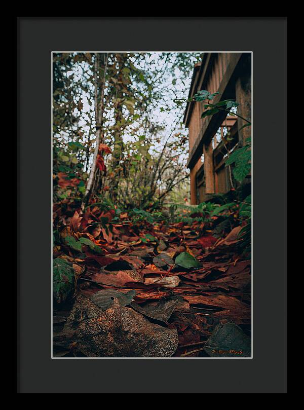 Autum leaves - Framed Print