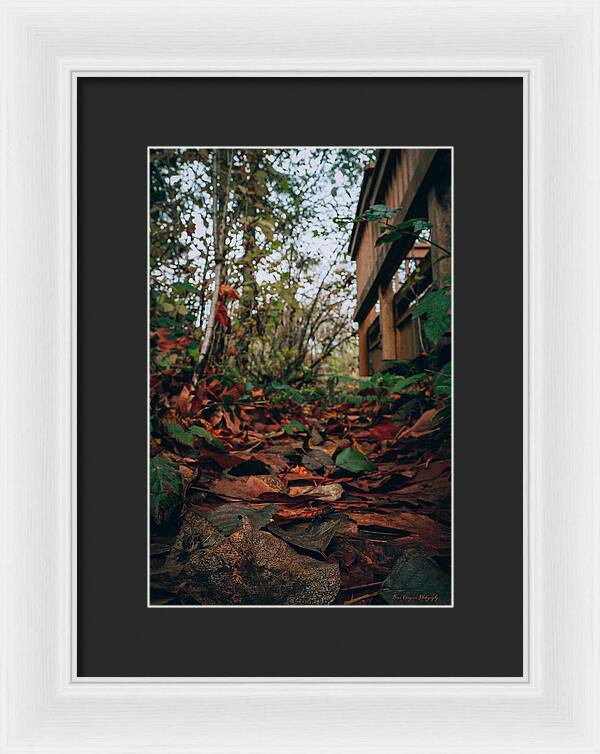 Autum leaves - Framed Print